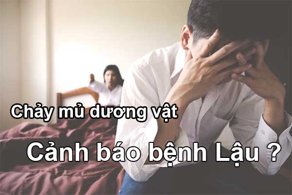 Chảy mủ dương vật là dấu hiệu bệnh gì? Có nguy hiểm không?