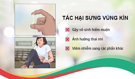 CẢNH GIÁC VỚI NHỮNG TÁC HẠI CỦA SƯNG VÙNG KÍN 